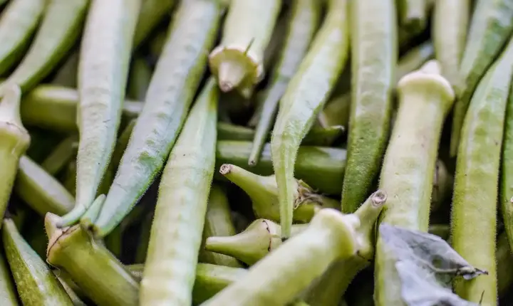 Garantia-Safra: veja lista dos que receberão pagamento em abril