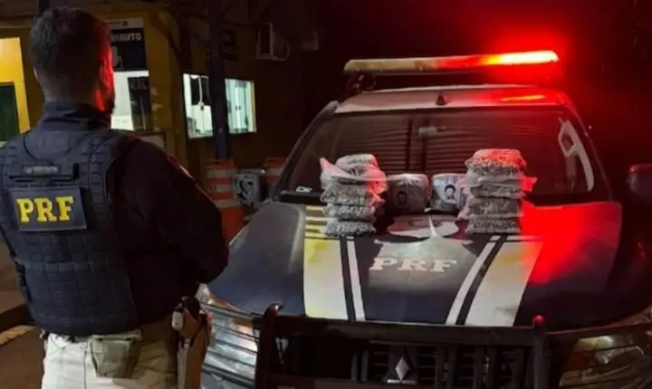 PRF apreende mais de 10 kg de Skunk na BR-425